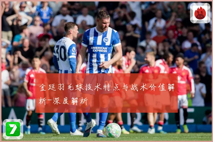 金廷羽毛球技术特点与战术价值解析-深度解析